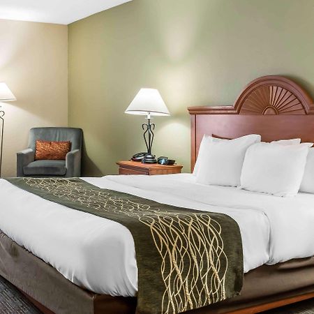 Comfort Inn Pine Grove I-81 Hershey Area Экстерьер фото